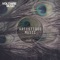 Aerodome (Deneha Remix) - PR3SNT lyrics