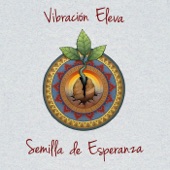 Semilla de Esperanza artwork