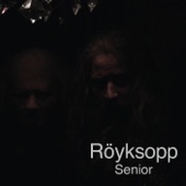 Röyksopp - The Alcoholic