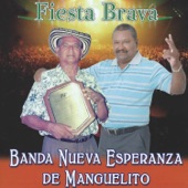 Fiesta Brava artwork