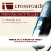 What Do I Know of Holy (Made Popular by Addison Road) [Performance Track] album lyrics, reviews, download