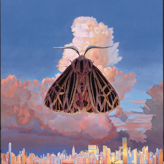 Cover artwork for Polymorphing