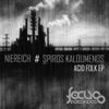 Niereich - Acid Folk