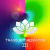 Tranquility Meditation 111: Nature Sounds, Spiritual Awakening, Relaxing Music, Zen, Healing Music, Mental Concentration album lyrics, reviews, download