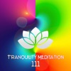 Tranquility Meditation 111: Nature Sounds, Spiritual Awakening, Relaxing Music, Zen, Healing Music, Mental Concentration