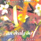 An Dealg Óir (The Golden Thorn) artwork