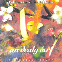 Páidraigín Ní Uallacháin - An Dealg Óir (The Golden Thorn) artwork