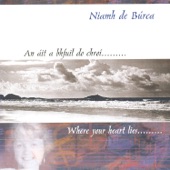 An Áit a Bhfuil Do Chroí (Where Your Heart Lies) artwork