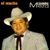 El Macho, 1994