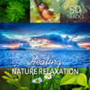 Healing Nature Relaxation 50 Tracks – Relaxing Tracks, Balancing Nature Music, Spa Music, Zen Massage, Nature Ambience - Nature Sounds Universe