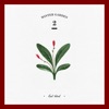 Wish Tree - WINTER GARDEN - Single