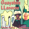 Guayabos Llaneros