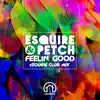 Stream & download Feelin' Good (eSQUIRE Remix)