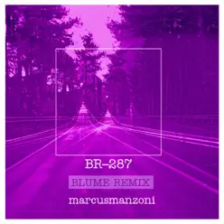 Br-287 (Blume Remix) [feat. Blume] - Single - Marcus Manzoni