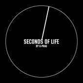 Seconds of Life artwork