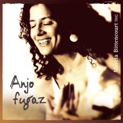 Anjo Fugaz