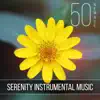 50 New Age: Serenity Instrumental Music - Piano, Flute and Ocean Waves for Yoga Meditation, Relax, Spa, Massage, Study, Sleep album lyrics, reviews, download
