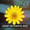 Calming Background Music - Music to Relax in Free Time lyrics