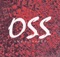 Oss - RMK & Toppen lyrics