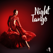 Night Tango - Argentinian Tango Music to Dance, Sensual Latin Dancing Songs - Tango Music Project