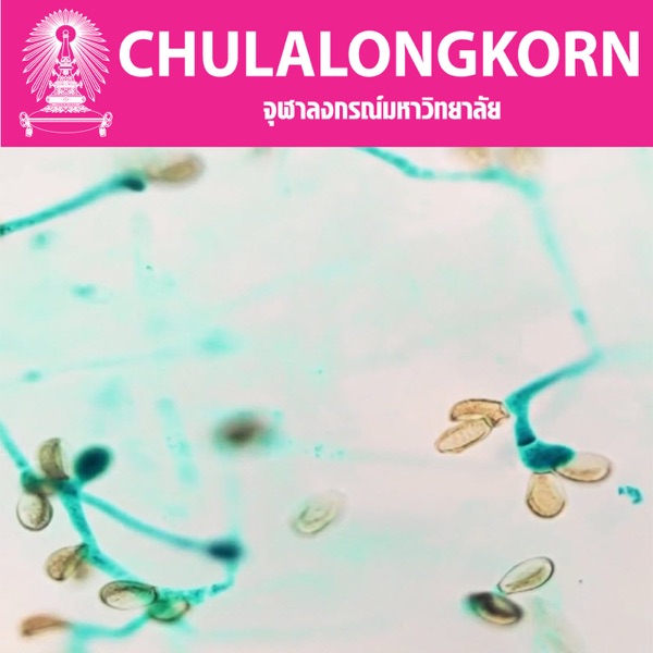 ความหลากหลายทางชีวภาพ cover