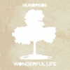 Wonderful Life - Single, 2015