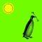 Wes Anderson - Gazebo Penguins lyrics