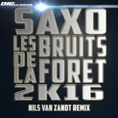 Les Bruits de la Forêt 2016 (Nils van Zandt Extended Mix) artwork