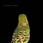 Andrew Bird - Imitosis