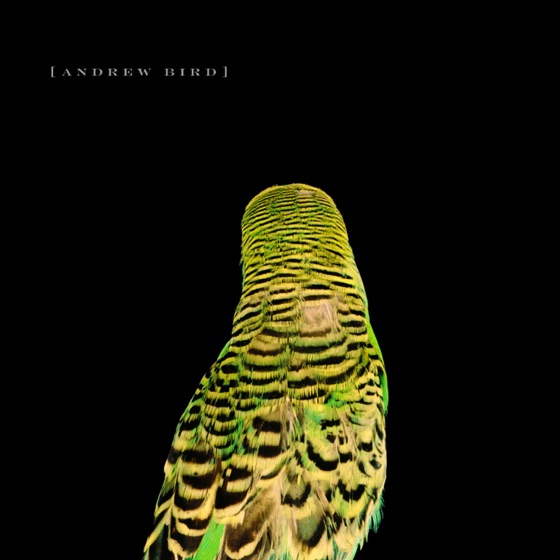 Cover artwork for Plasticities