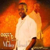 Aydergem ( Ethiopian Contemporary Music) artwork