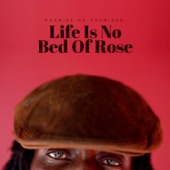 Promise No Promises - Life Is No Bed Of Rose