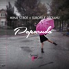 Paparuda - Single, 2016