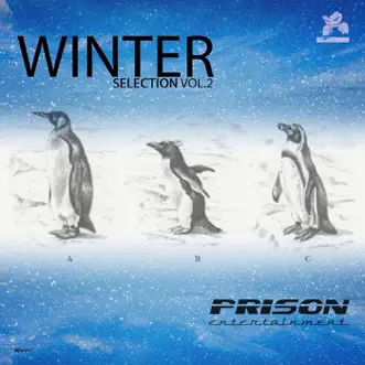 Winter Selection, Vol. 2 by Various Artists album reviews, ratings, credits