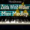 Zelda Wind Waker Mini Medley - Single album lyrics, reviews, download