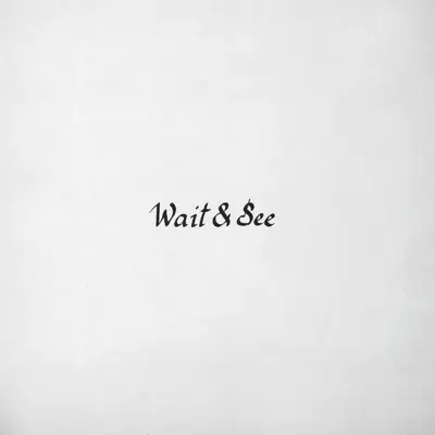 Wait & See - EP - Majical Cloudz