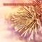 Ugrum River - Tony Sit lyrics