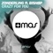 Crazy for You (feat. BISHØP) [Extended Mix] - Zonderling lyrics
