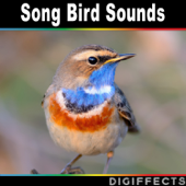 Song Bird Sounds - Digiffects Sound Effects Library