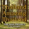 Thailand Amazing Thailand (feat. Pui Duangpon) artwork