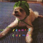 Frankie Cosmos - My I Love You