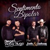 Sentimento Bipolar (feat. Jads & Jadson) - Single