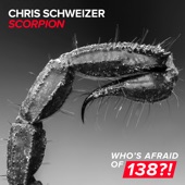 Chris Schweizer - Scorpion (Extended Mix)