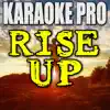 Rise Up (Originally Performed by Andra Day) [Instrumental Version] song lyrics