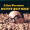 Shticks - Allan Sherman lyrics