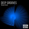 Deep Grooves artwork