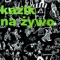 Tata Dilera/Hardzone - Kazik Na Żywo lyrics