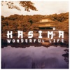 Wonderful Life (Remixes) - EP