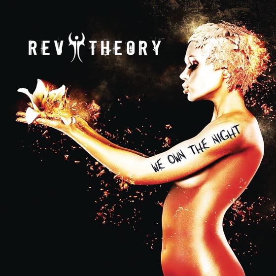 Cover artwork for We Own the Night