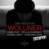 Stream & download Wolliner (The Remixes)